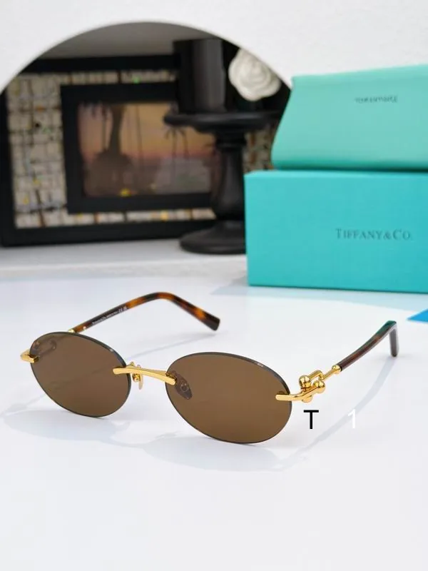 TIFFANY Co TF3104D Oval Sunglasses, source view 1, SKU TF3104D