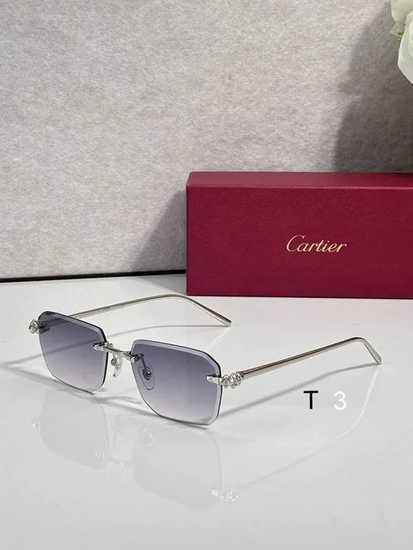 Cartier CT02289O Soft-Rectangle Sunglasses, catalog view 1, CT02289O