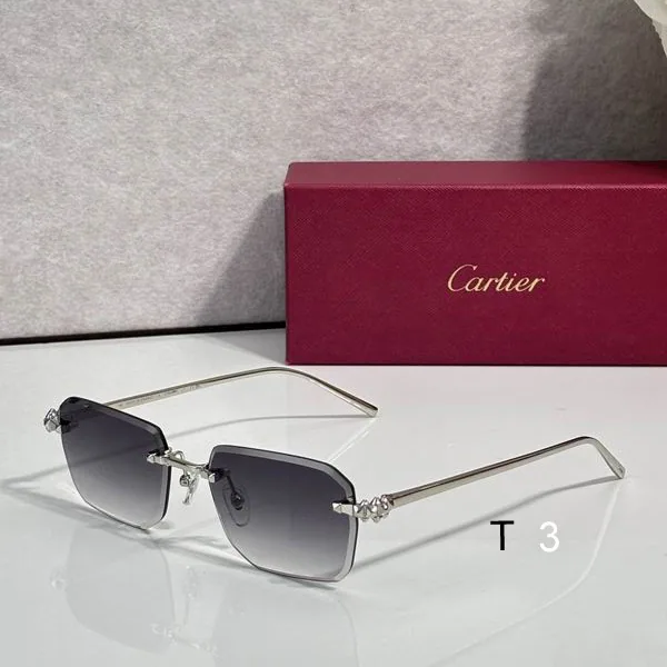 Cartier CT02289O Soft-Rectangle Sunglasses, catalog view 2, CT02289O