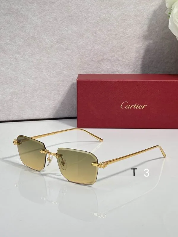 Cartier CT02289O Soft-Rectangle Sunglasses, catalog view 3, CT02289O