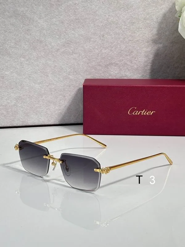 Cartier CT02289O Soft-Rectangle Sunglasses, catalog view 4, CT02289O