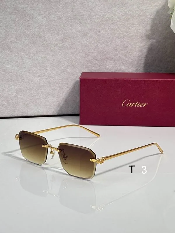 Cartier CT02289O Soft-Rectangle Sunglasses, catalog view 5, CT02289O