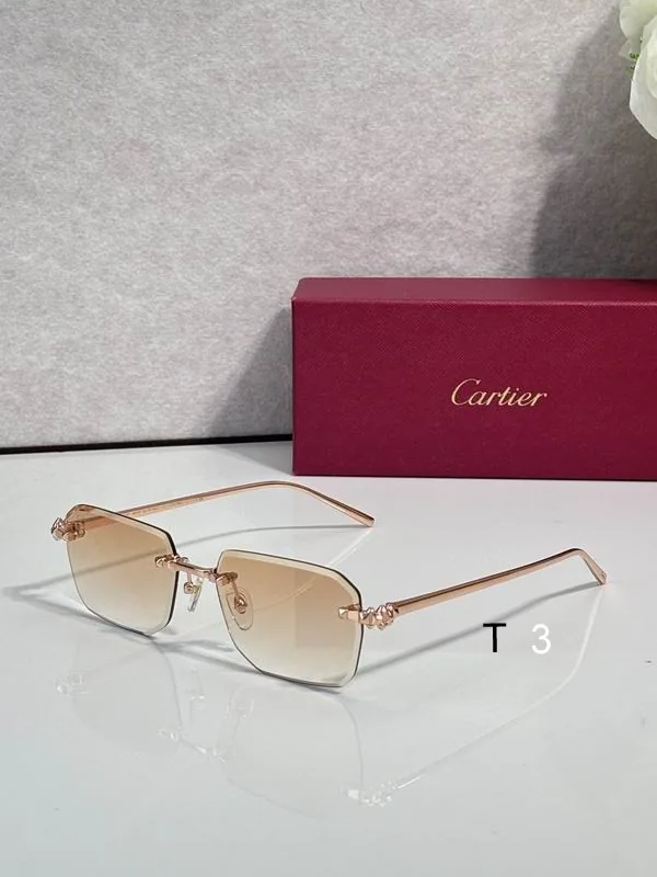 Cartier CT02289O Soft-Rectangle Sunglasses, catalog view 6, CT02289O