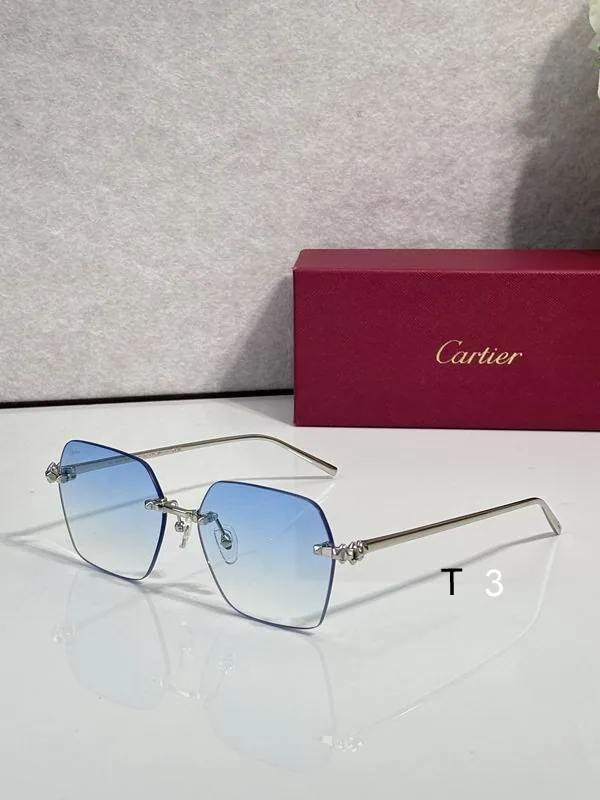 Cartier CT02290O Geometric Sunglasses, catalog view 1, CT02290O