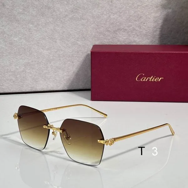 Cartier CT02290O Geometric Sunglasses, catalog view 2, CT02290O