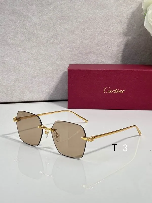 Cartier CT02290O Geometric Sunglasses, catalog view 3, CT02290O