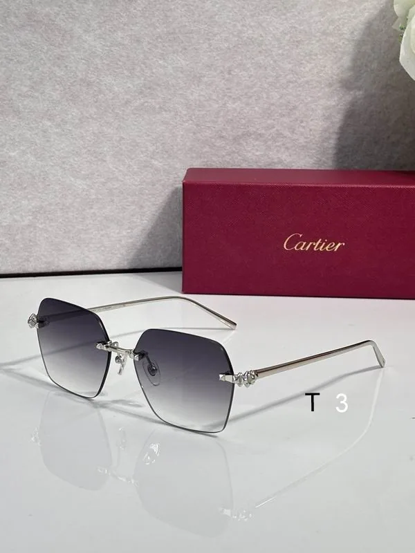 Cartier CT02290O Geometric Sunglasses, catalog view 4, CT02290O