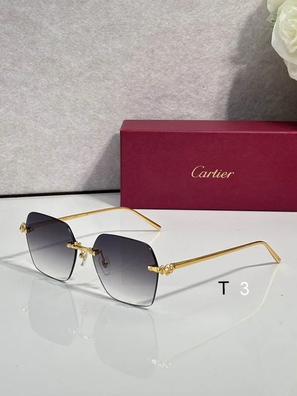Cartier CT02290O Geometric Sunglasses, catalog view 5, CT02290O