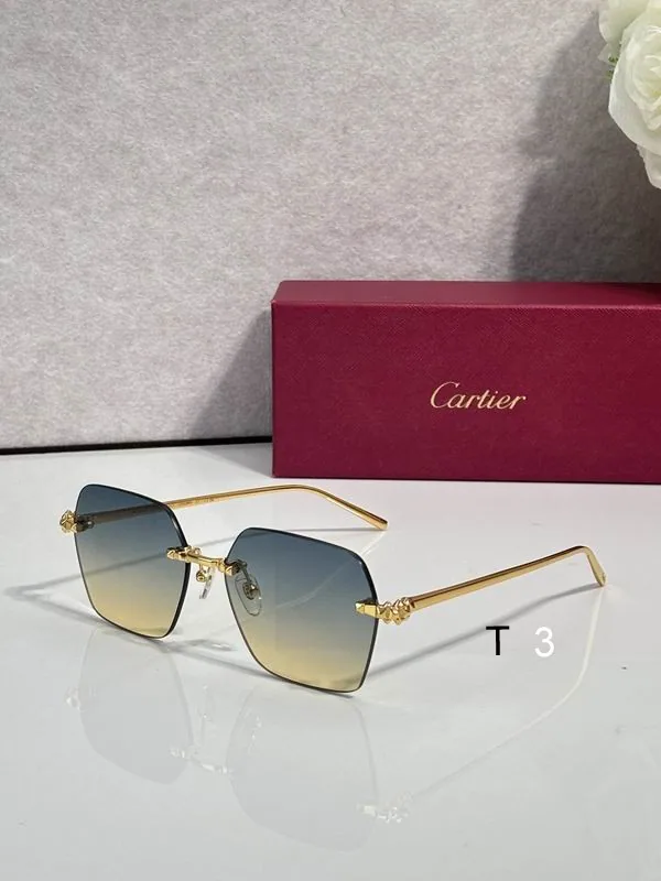 Cartier CT02290O Geometric Sunglasses, catalog view 6, CT02290O