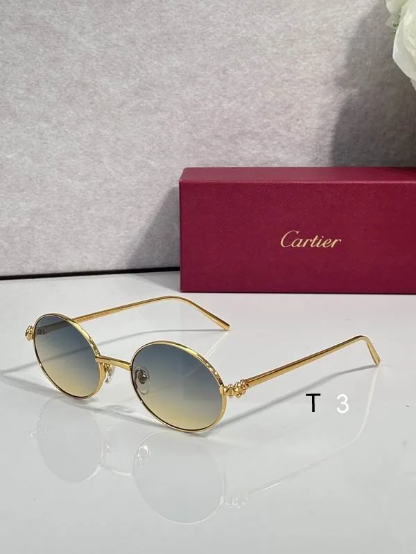 Cartier CT02291O Round-Lens Sunglasses, catalog view 2, CT02291O