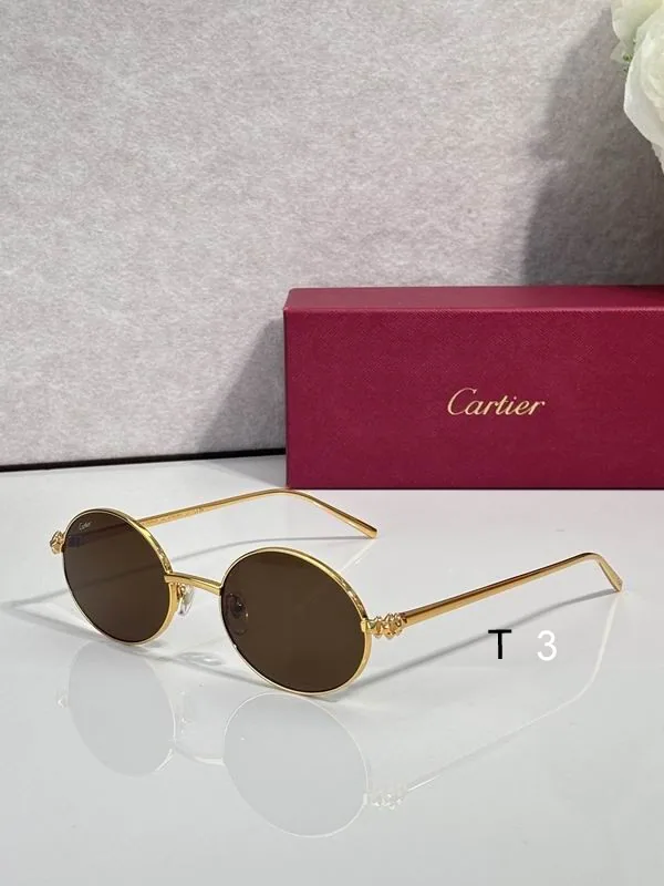Cartier CT02291O Round-Lens Sunglasses, catalog view 4, CT02291O