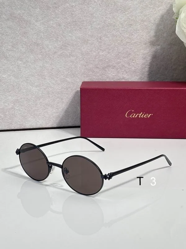 Cartier CT02291O Round-Lens Sunglasses, catalog view 5, CT02291O