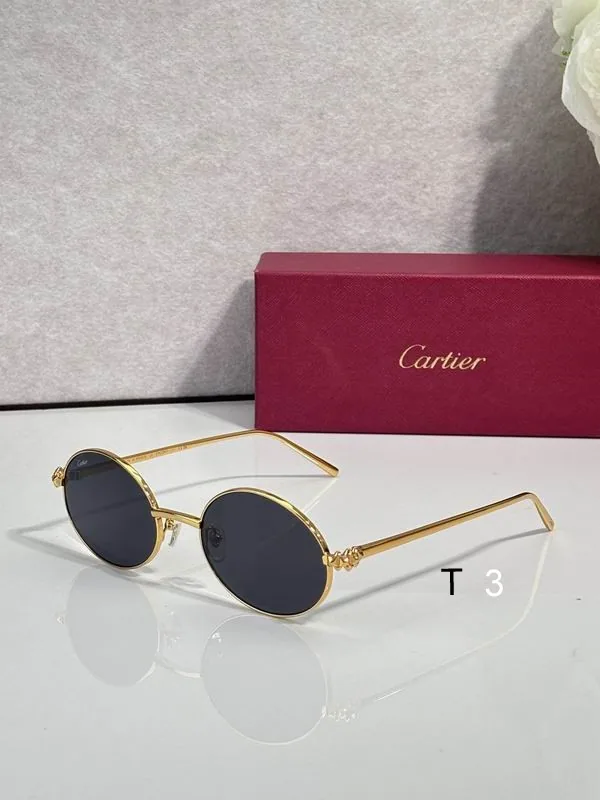 Cartier CT02291O Round-Lens Sunglasses, catalog view 6, CT02291O