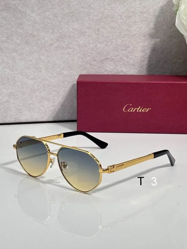 Cartier CT7182S Aviator Sunglasses, catalog view 1, CT7182S