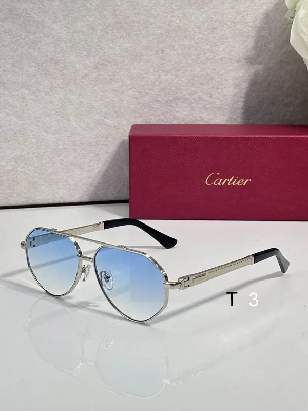 Cartier CT7182S Aviator Sunglasses, catalog view 3, CT7182S