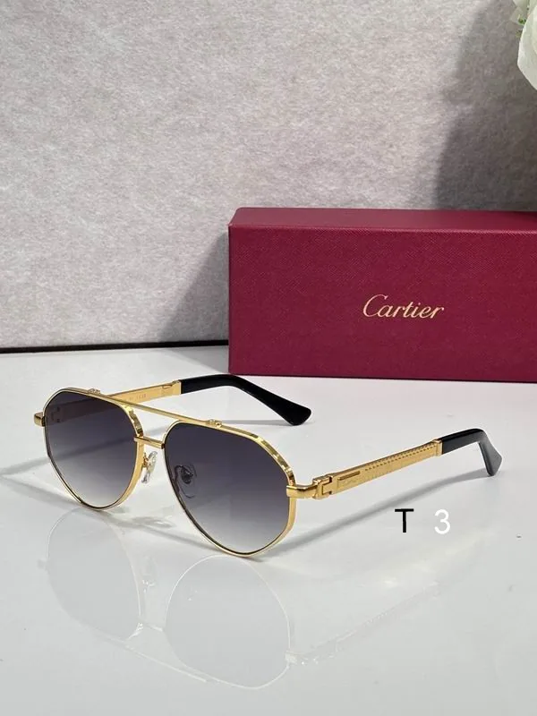 Cartier CT7182S Aviator Sunglasses, catalog view 4, CT7182S