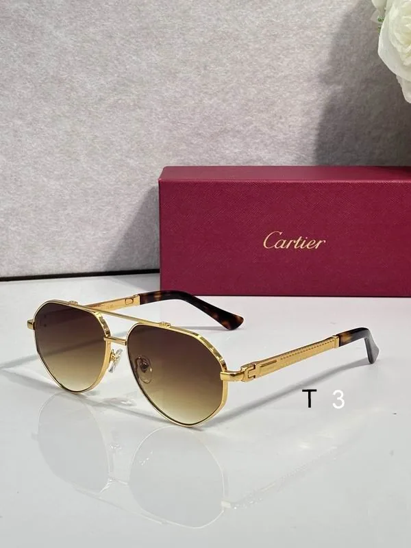 Cartier CT7182S Aviator Sunglasses, catalog view 5, CT7182S