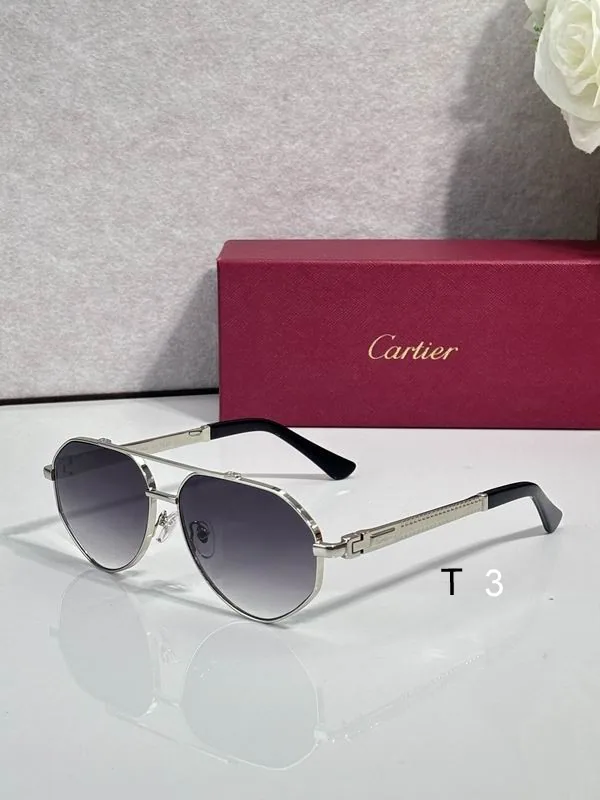 Cartier CT7182S Aviator Sunglasses, catalog view 6, CT7182S