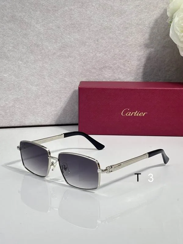 Cartier CT7183S Rimless Sunglasses, catalog view 2, CT7183S