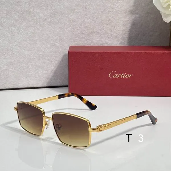 Cartier CT7183S Rimless Sunglasses, catalog view 3, CT7183S