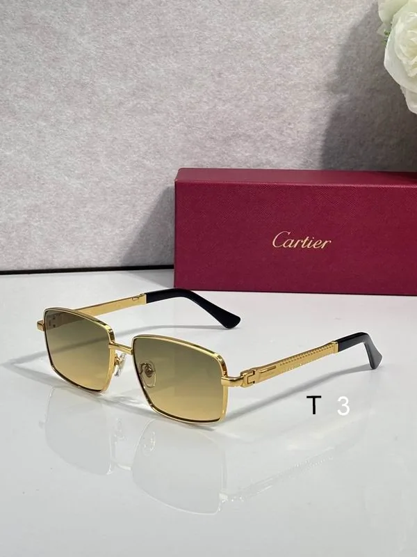 Cartier CT7183S Rimless Sunglasses, catalog view 5, CT7183S