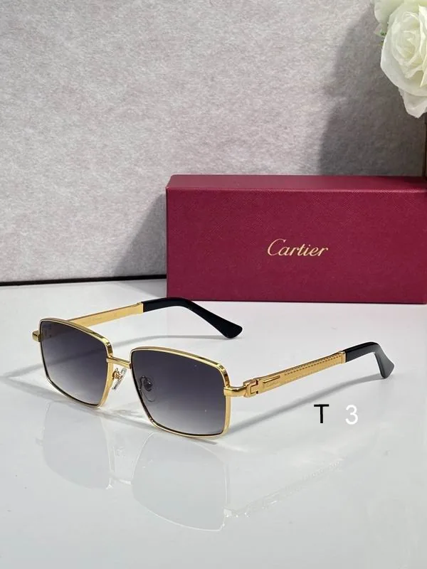 Cartier CT7183S Rimless Sunglasses, catalog view 6, CT7183S