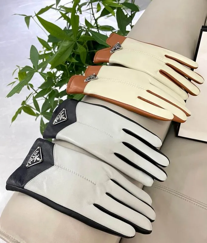 Prada Gloves L, source view 5, SKU gloves