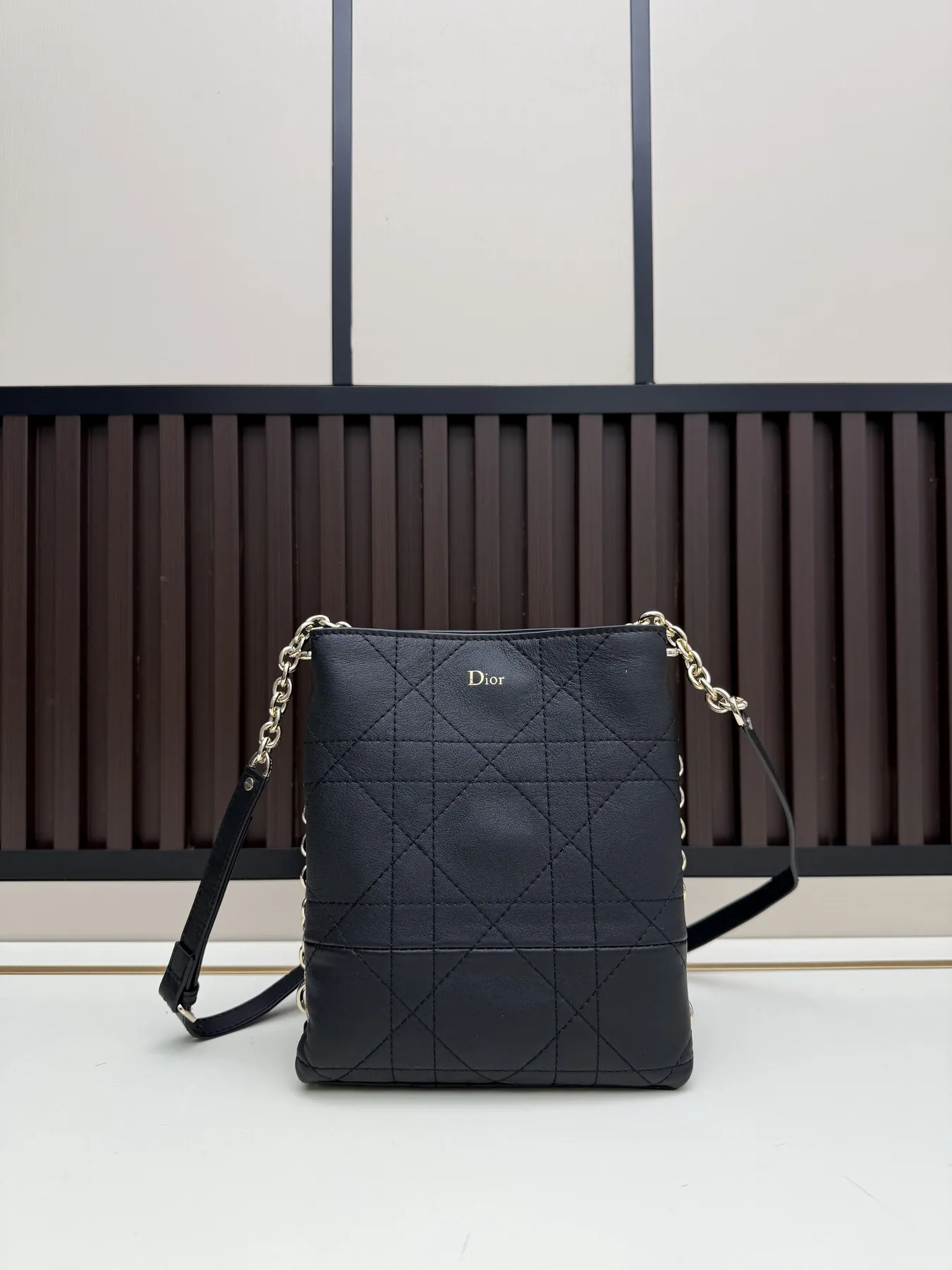 Dior 2617 Quilted Vertical Crossbody Bag, source view 5, SKU 2617