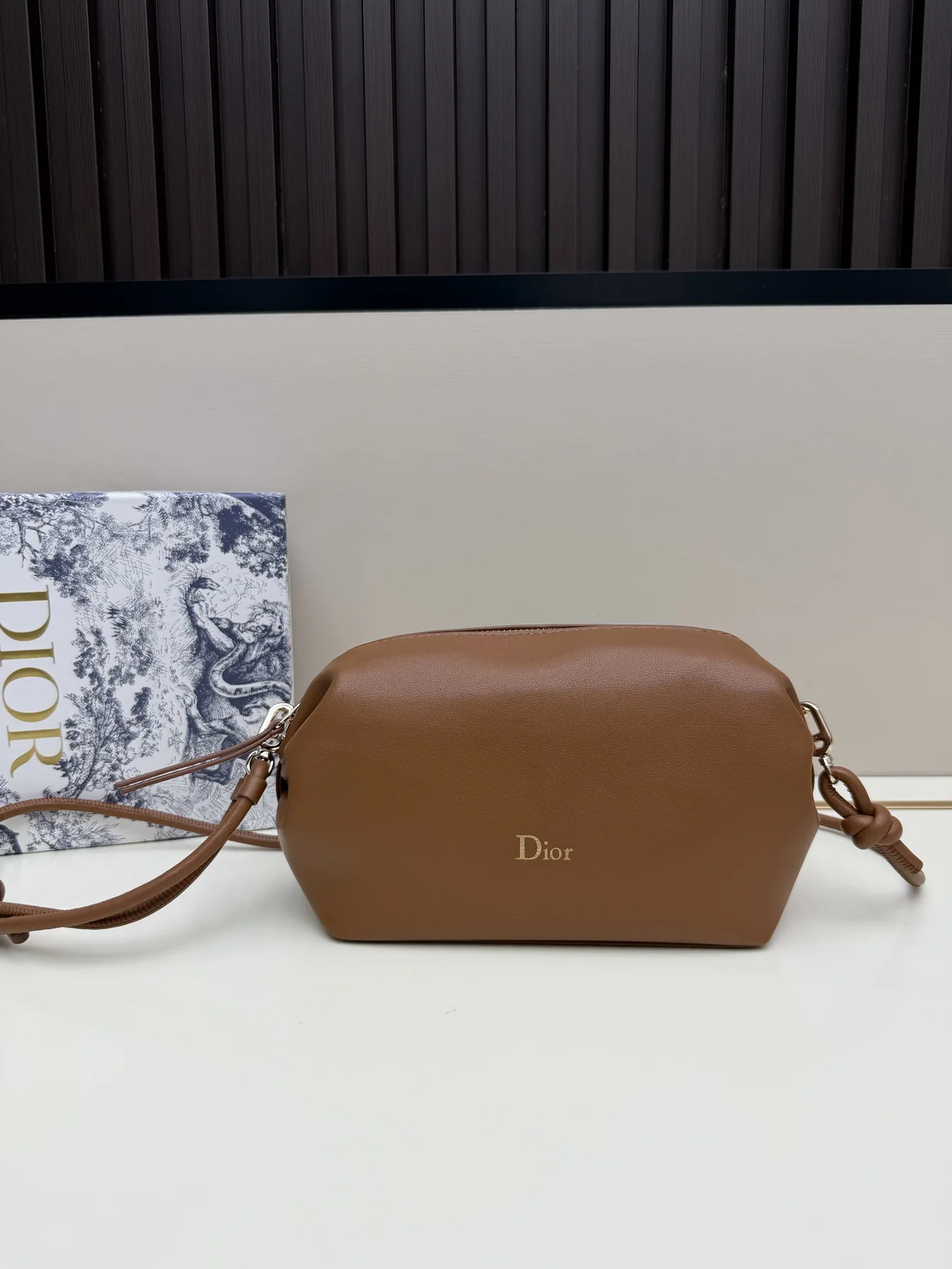 Dior S3900 Camera Crossbody Bag, source view 1, SKU S3900