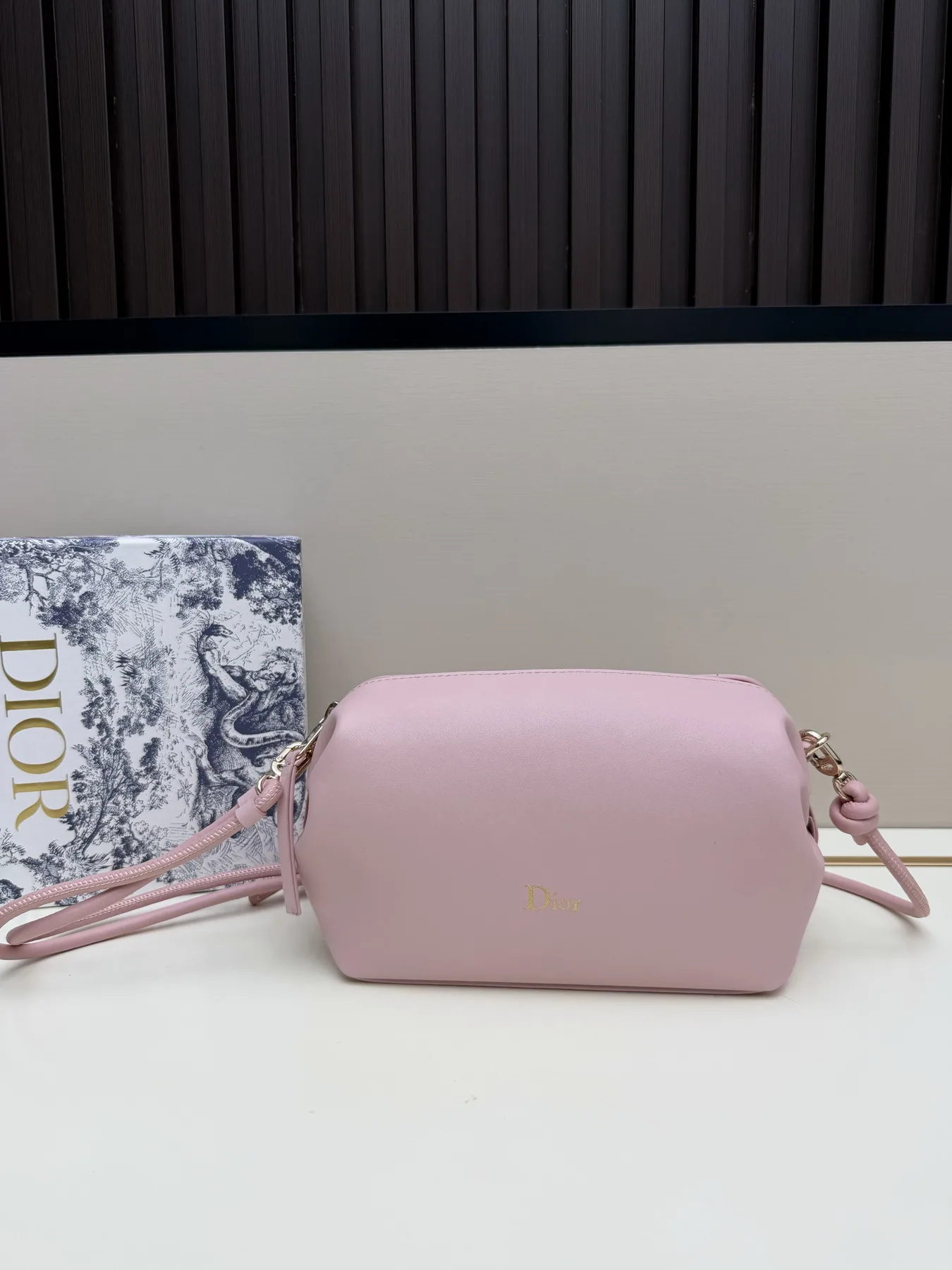 Dior S3900 Camera Crossbody Bag, source view 2, SKU S3900