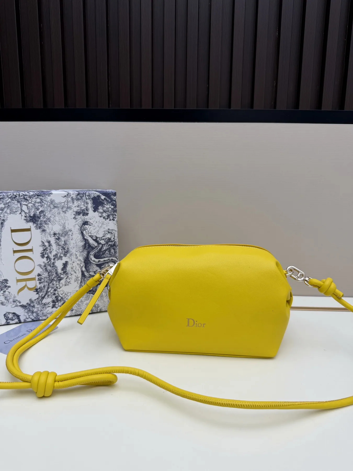 Dior S3900 Camera Crossbody Bag, source view 4, SKU S3900