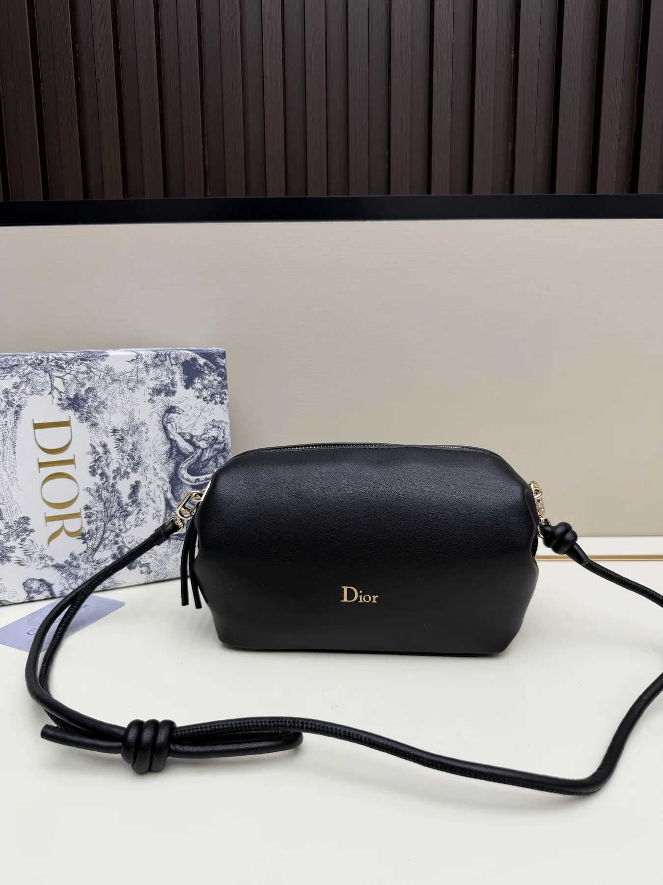 Dior S3900 Camera Crossbody Bag, source view 5, SKU S3900