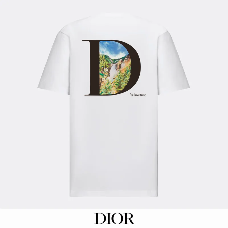 Dior bhtx167 Landscape D Graphic T-Shirt, source view 4, SKU bhtx167