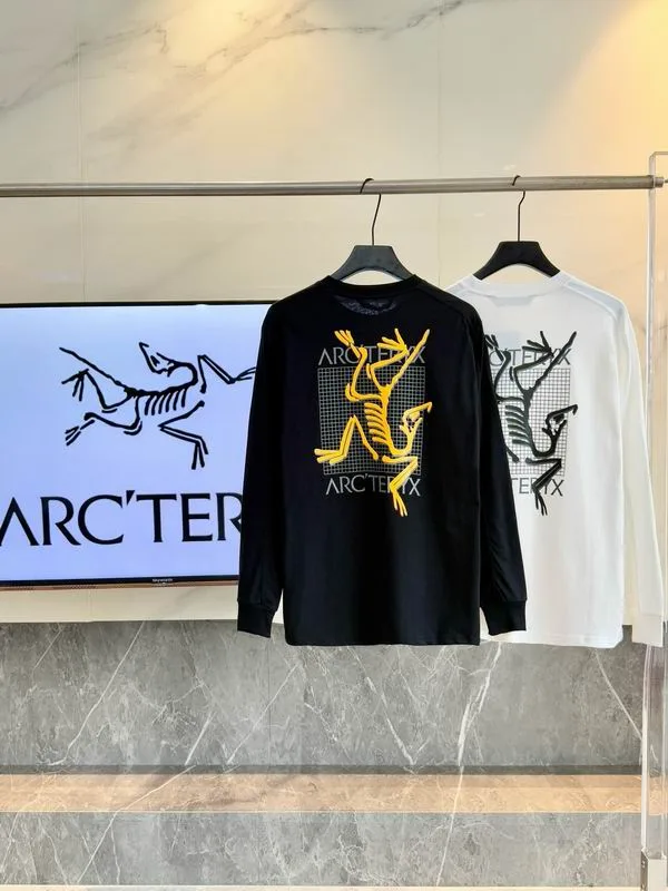 Arcteryx Gold Bird Graphic Long-Sleeve Top, catalog view 4, hgntx26043